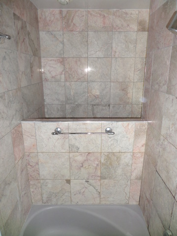 250 N Lind Ave, Hillside, IL 60162 photo 11
