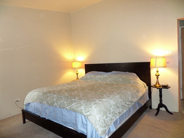 250 N Lind Ave, Hillside, IL 60162 photo 7