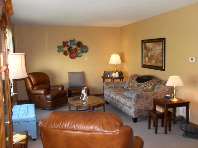 19916 Therese Ln, Mokena, IL 60448 photo 9
