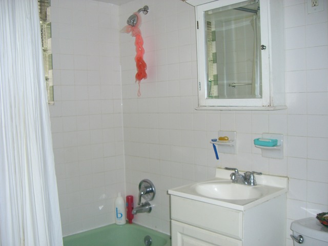 3922 S Artesian Ave, Chicago, IL 60632 photo 8