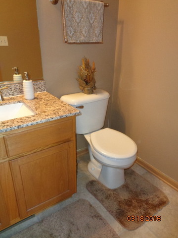 318 Gregory Ln, Plano, IL 60545 photo 7
