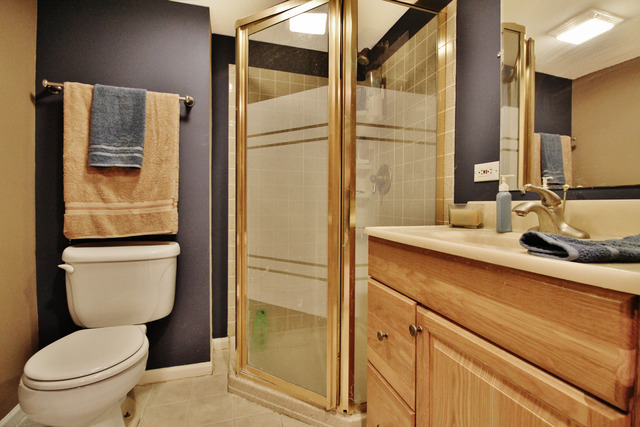 1501 Derby Ln, Bartlett, IL 60103 photo 22
