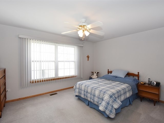 21612 W Larch Dr, Plainfield, IL 60544 photo 11