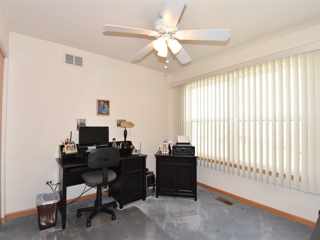 21612 W Larch Dr, Plainfield, IL 60544 photo 16