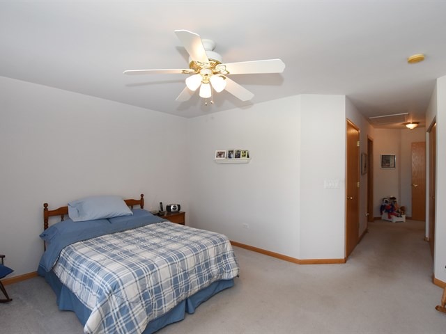21612 W Larch Dr, Plainfield, IL 60544 photo 12