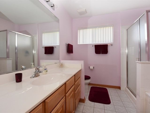 21612 W Larch Dr, Plainfield, IL 60544 photo 13