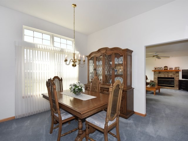 21612 W Larch Dr, Plainfield, IL 60544 photo 5