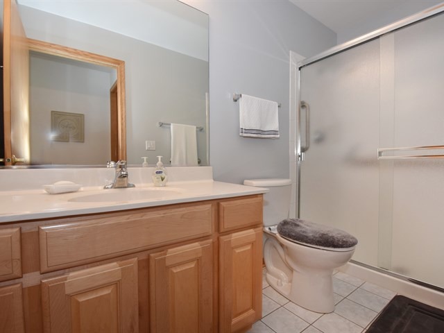 21612 W Larch Dr, Plainfield, IL 60544 photo 17