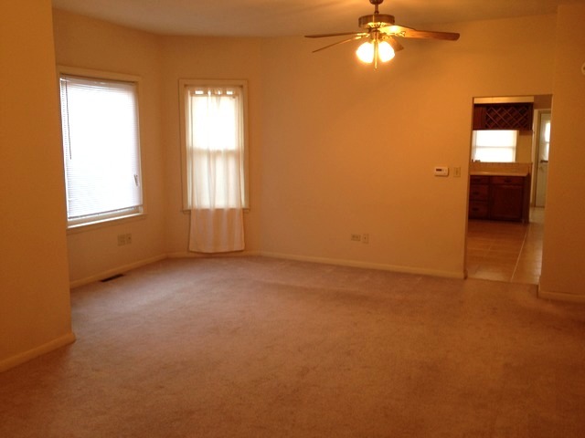 107 W 5th St, Spring Valley, IL 61362 photo 16