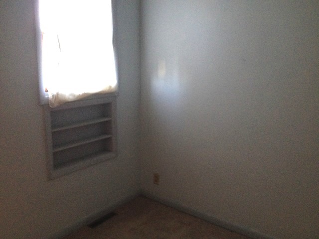 107 W 5th St, Spring Valley, IL 61362 photo 22