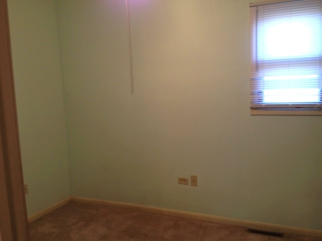 107 W 5th St, Spring Valley, IL 61362 photo 19