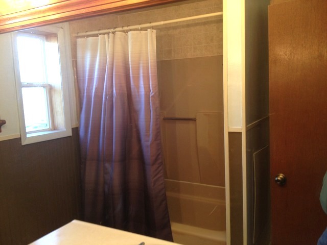 107 W 5th St, Spring Valley, IL 61362 photo 10
