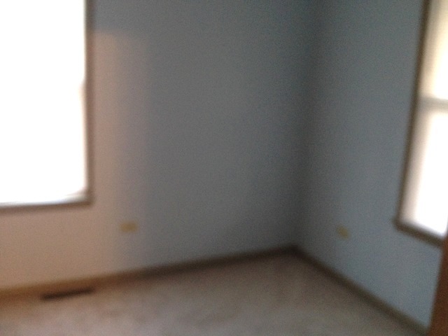 107 W 5th St, Spring Valley, IL 61362 photo 18