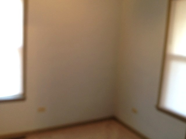 107 W 5th St, Spring Valley, IL 61362 photo 21