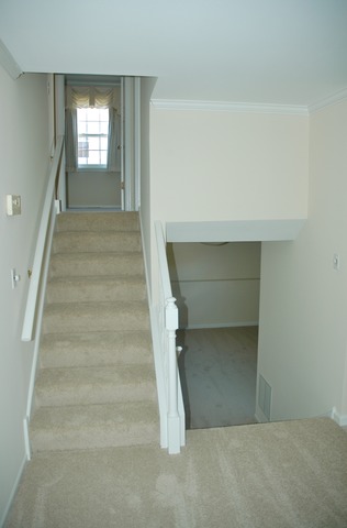 1486 Timber Trl #A, Wheaton, IL 60189 photo 8