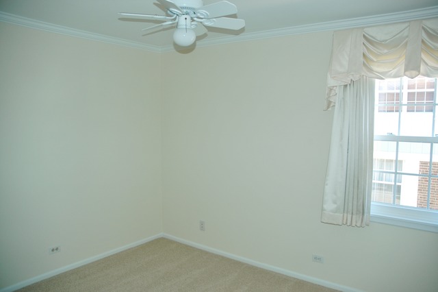 1486 Timber Trl #A, Wheaton, IL 60189 photo 12