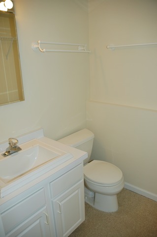1486 Timber Trl #A, Wheaton, IL 60189 photo 17