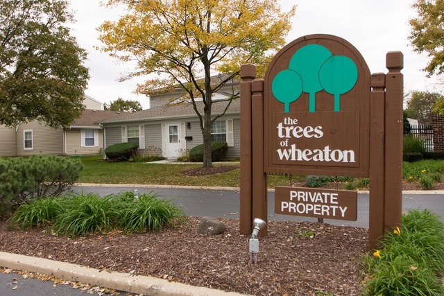 1486 Timber Trl #A, Wheaton, IL 60189 photo 21