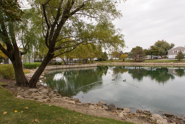 1486 Timber Trl #A, Wheaton, IL 60189 photo 20