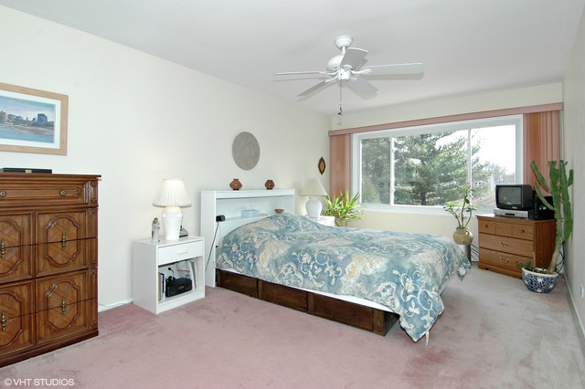 647 Darien Ct, Hoffman Estates, IL 60169 photo 9