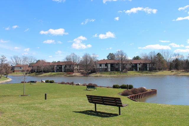 1012 Harbour Ct #1B, Wheeling, IL 60090 photo 23