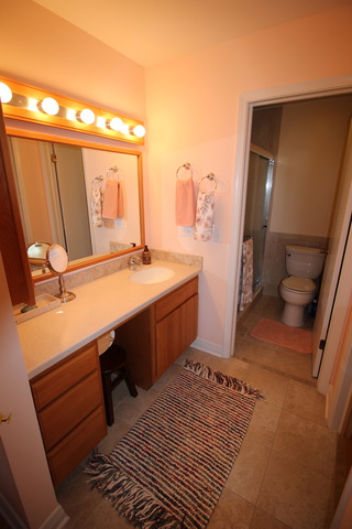 1012 Harbour Ct #1B, Wheeling, IL 60090 photo 12
