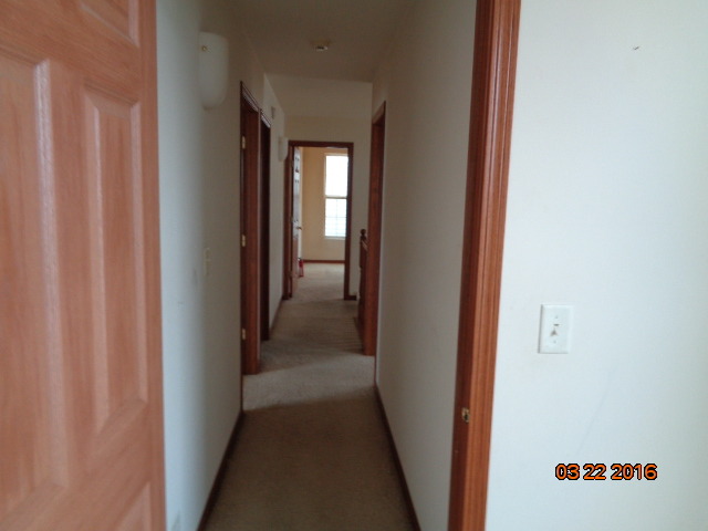 1655 Plum Tree Ln, Aurora, IL 60504 photo 23