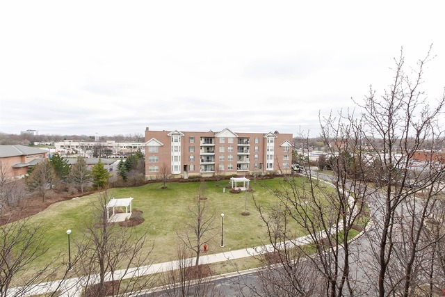3125 Town Square Dr #401, Rolling Meadows, IL 60008 photo 20