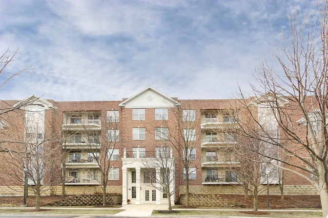 3125 Town Square Dr #401, Rolling Meadows, IL 60008 photo 1