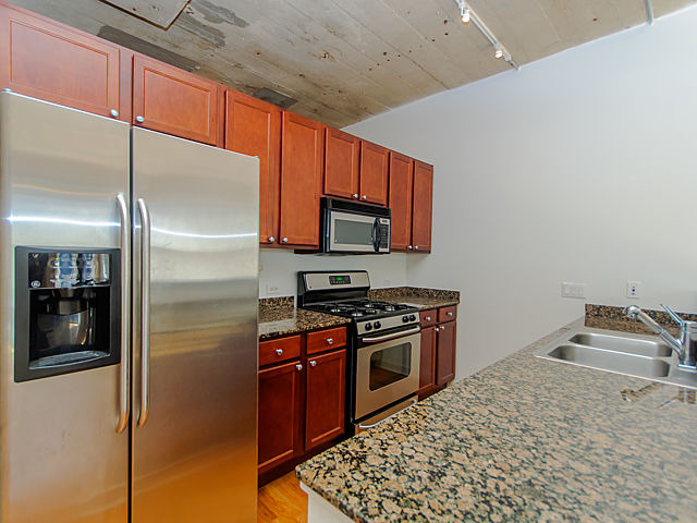 1069 W 14th Pl #202, Chicago, IL 60608 photo 5