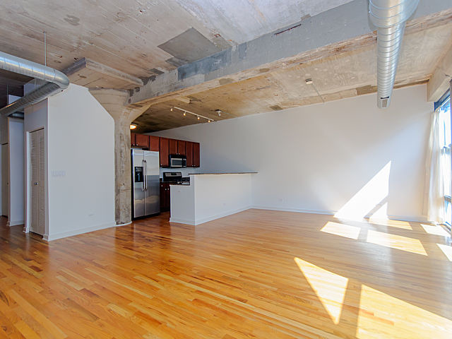 1069 W 14th Pl #202, Chicago, IL 60608 photo 4