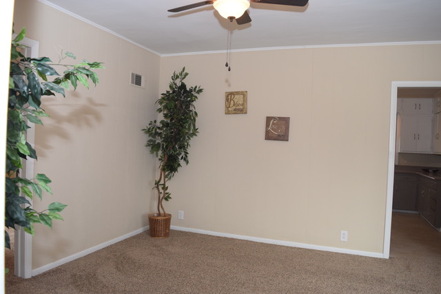 635 S Eastern Ave, Manhattan, IL 60442 photo 14
