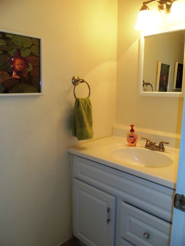 405 Arrow Trl, Wheeling, IL 60090 photo 11