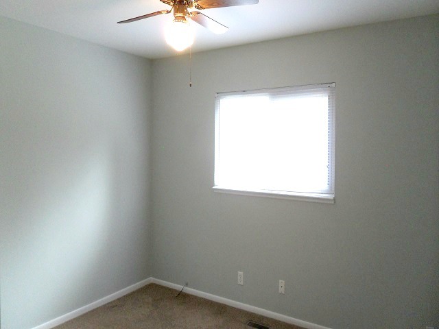 110 Springleaf Dr, Bolingbrook, IL 60440 photo 7