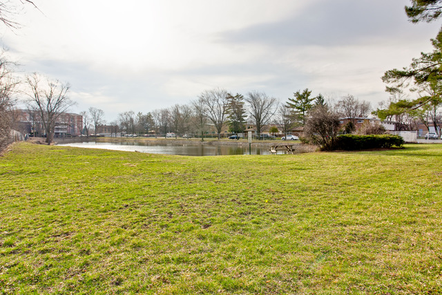 100 Deborah Ln #A24, Wheeling, IL 60090 photo 17