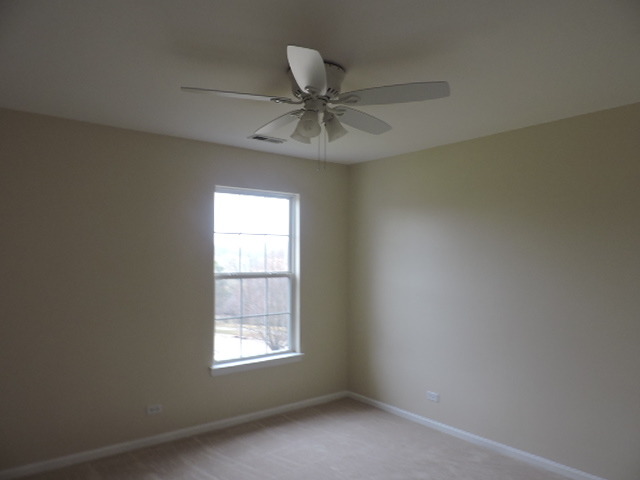 1444 Spring Leaf, Dundee, IL 60118 photo 15