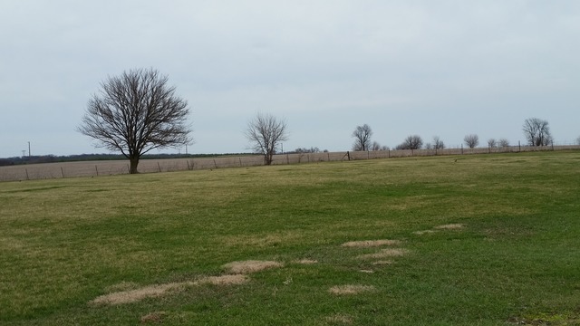3112 E Holcomb Rd, Oregon, IL 61061 photo 25