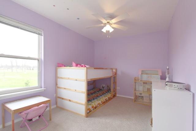 1110 Flint Ct, Aurora, IL 60506 photo 17