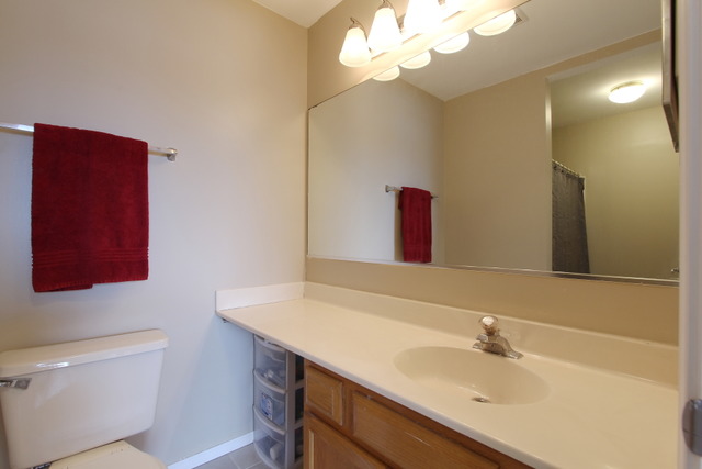 1110 Flint Ct, Aurora, IL 60506 photo 14