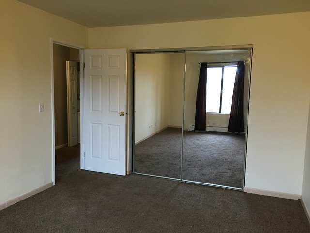 101 Gregory St #11, Aurora, IL 60504 photo 11