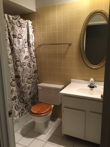 101 Gregory St #11, Aurora, IL 60504 photo 9