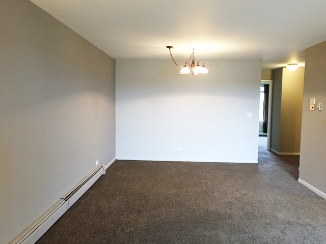 101 Gregory St #11, Aurora, IL 60504 photo 4