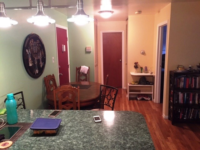 8804 Golf Rd #2E, Des Plaines, IL 60016 photo 5