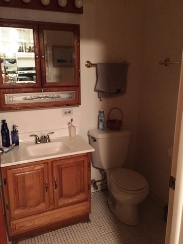 8804 Golf Rd #2E, Des Plaines, IL 60016 photo 8
