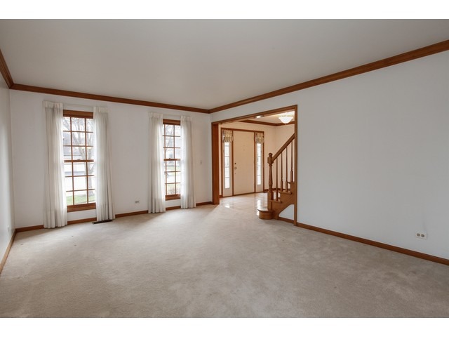 803 Rock Spring Rd, Naperville, IL 60565 photo 8