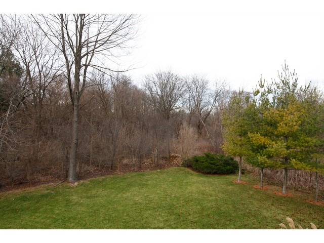 803 Rock Spring Rd, Naperville, IL 60565 photo 24