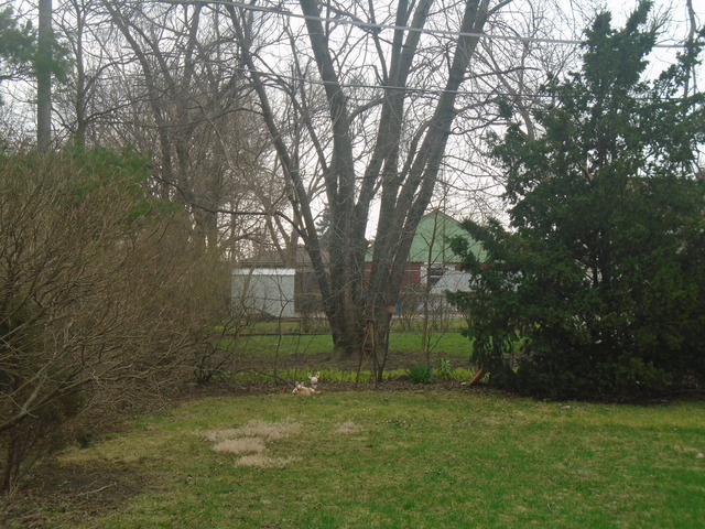 8741 43rd St, Lyons, IL 60534 photo 24