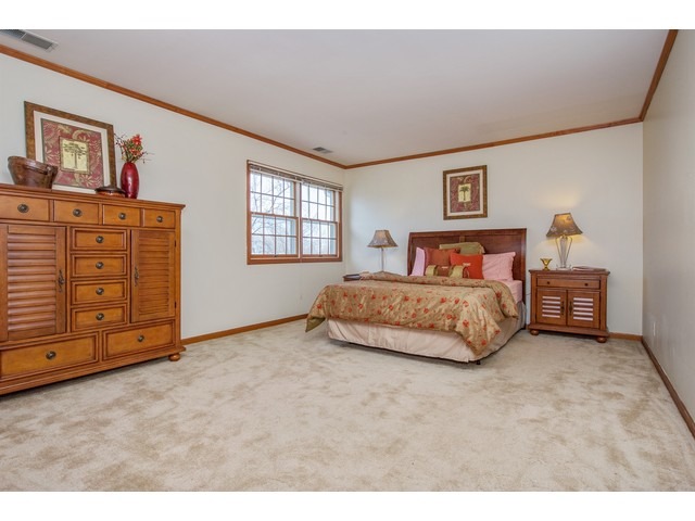6313 Dunham Rd, Union, IL 60180 photo 16