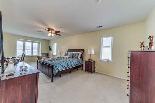 520 E Armitage Ave, Addison, IL 60101 photo 13