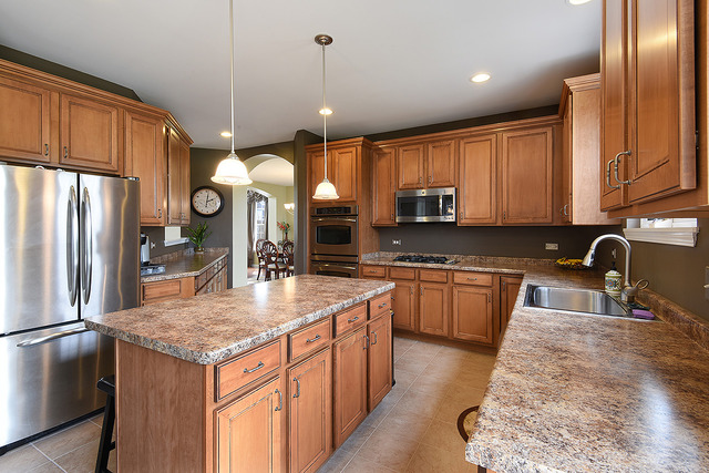 26424 Rustling Birch Way, Plainfield, IL 60585 photo 4